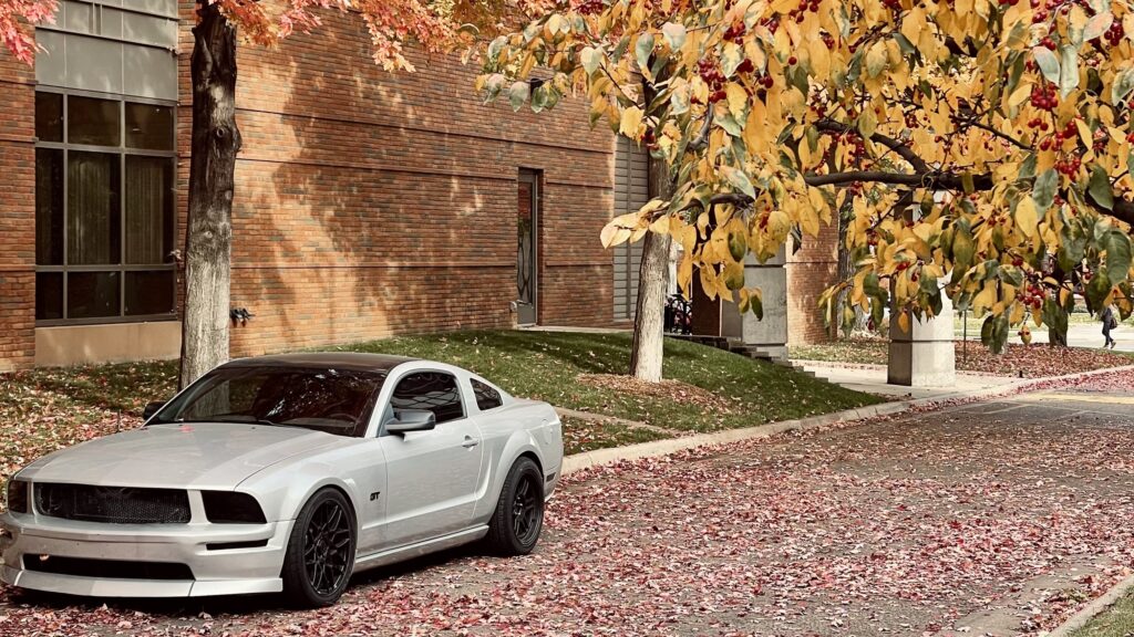 mustang s197 augsburg trees